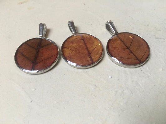 Earthy brown silver necklace with real leaf