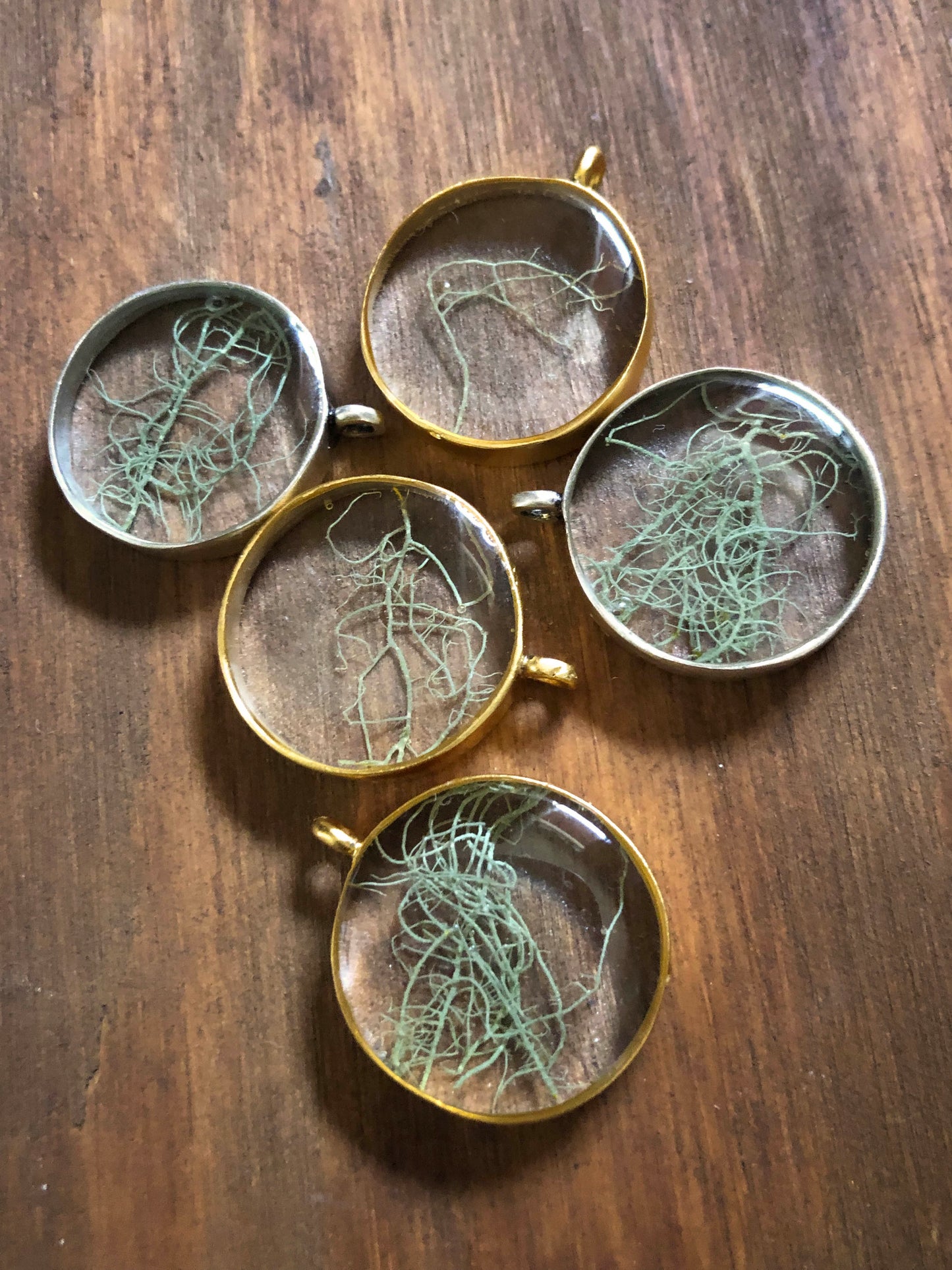 Necklace made with real Beard Lichen straight from the forrest