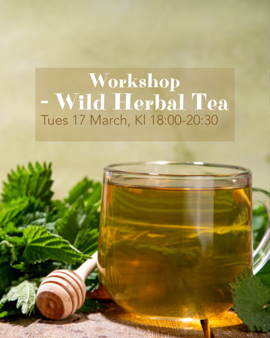 Wild Herbal Tea Workshop – Tues 17 March