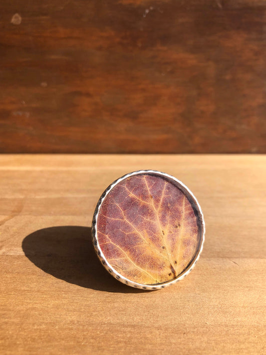 Stor ring med rött och gult asplöv
