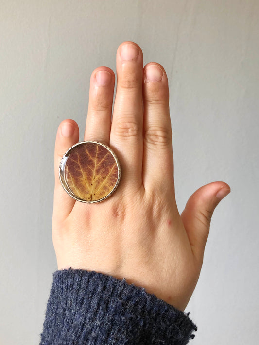 Stor ring med rött och gult asplöv