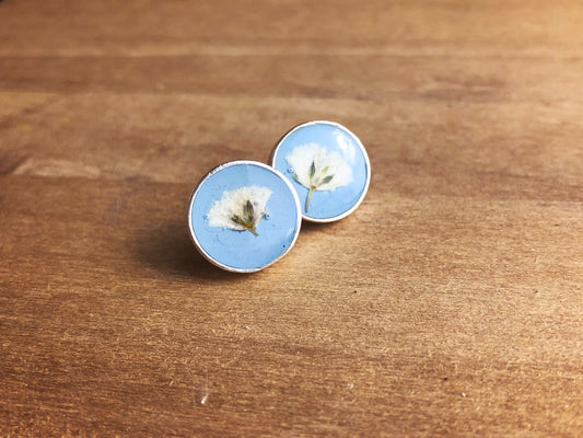 Pastel Blue earrings with real Queen Anne's Lace flowers (Hundkäx)