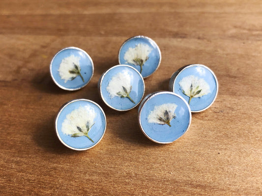 Pastel Blue earrings with real Queen Anne's Lace flowers (Hundkäx)