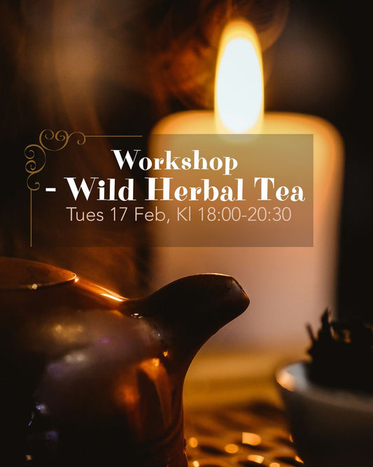 Wild Herbal Tea Workshop – Tues 17 Feb