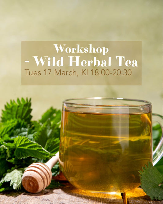 Wild Herbal Tea Workshop – Tues 17 March