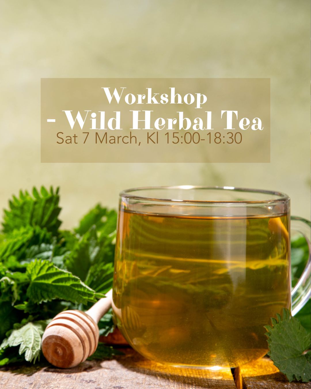 Wild Herbal Tea Workshop – Sat 7 March