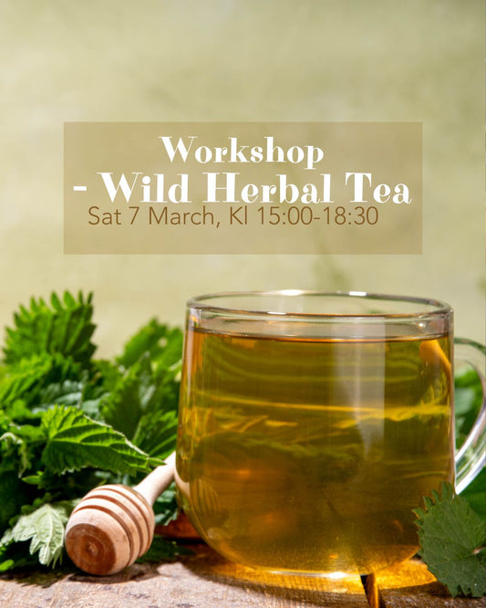 Wild Herbal Tea Workshop – Sat 7 March
